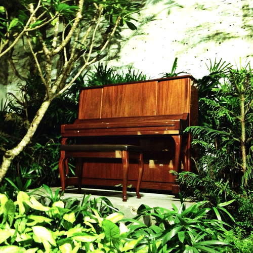A PIANO IN THE JUNGLE A PIANO IN THE JUNGLE